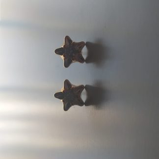 Pendientes de tuerca con forma de estrella dorada brillante