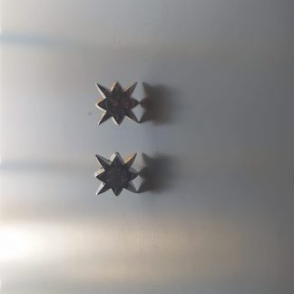Pendientes plateados de estrella con piedra central granate